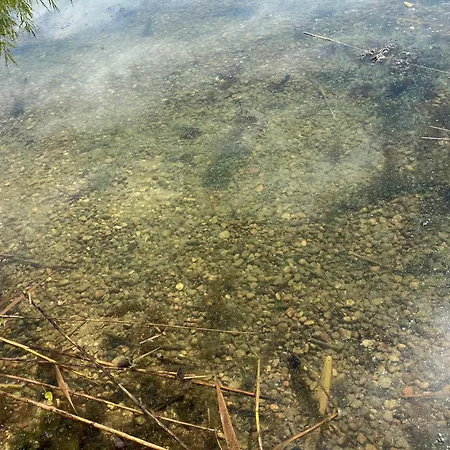 펜션 Nasz Tatarak - Sauna, Plaza I Kajaki W Cenie Blanki